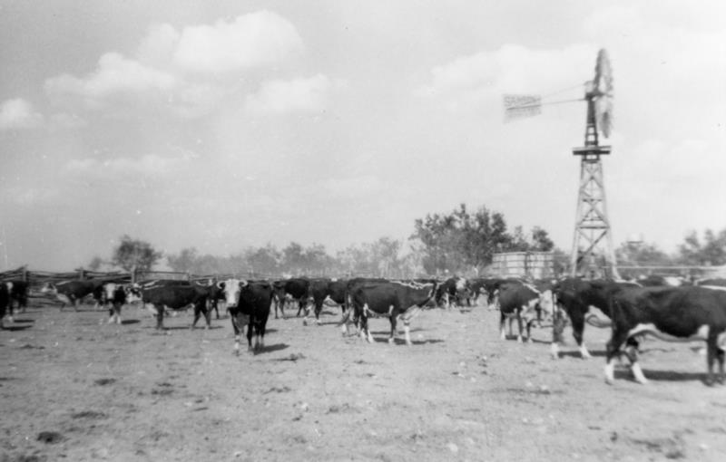 Historical Harrison Ranch