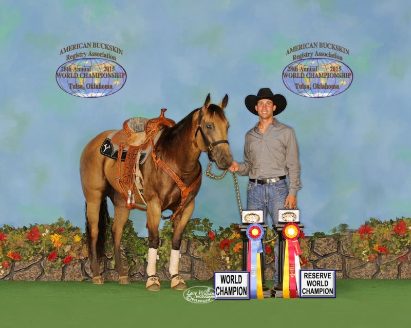 2015 American Buckskin World Champion